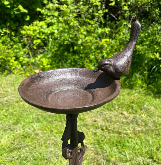 A brown ornate cast iron bird bath with a ground stake, featuring a bird design on the edge, situated in a garden setting.