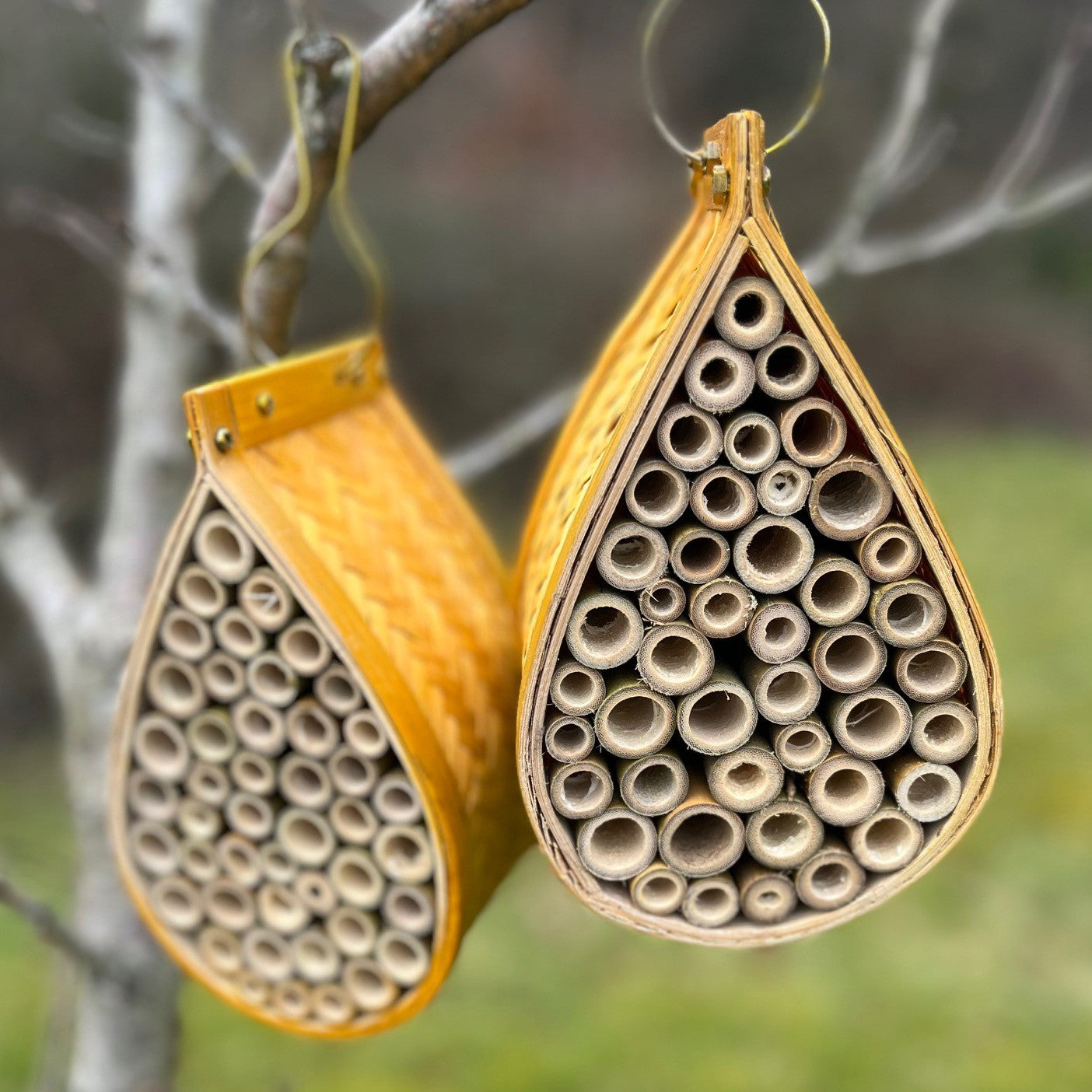 Hanging Teardrop Insect Hotel (Set of 2)