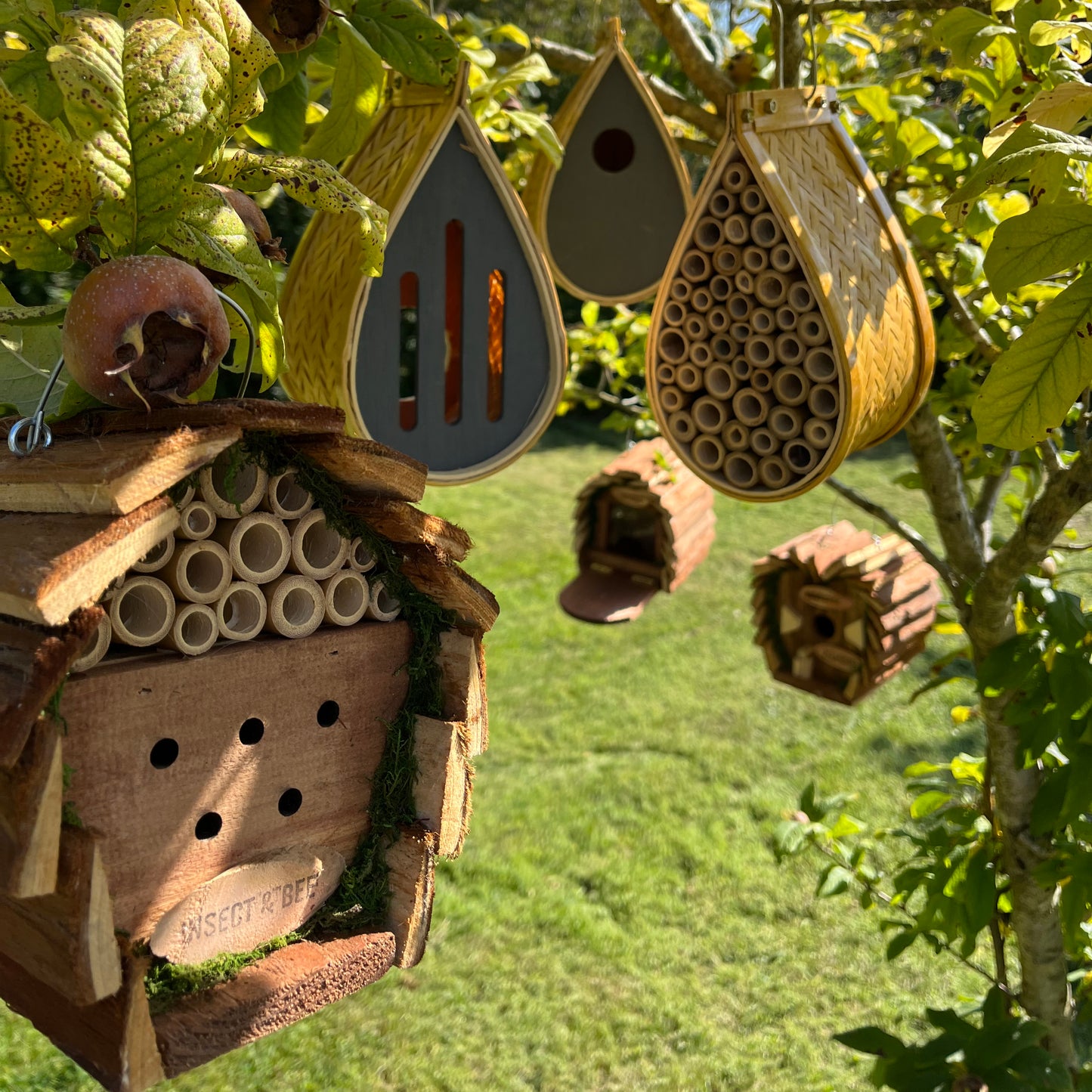 Hanging Wooden Bird, Butterfly & Insect Hotels & Squirrel Feeder Wildlife Care Set