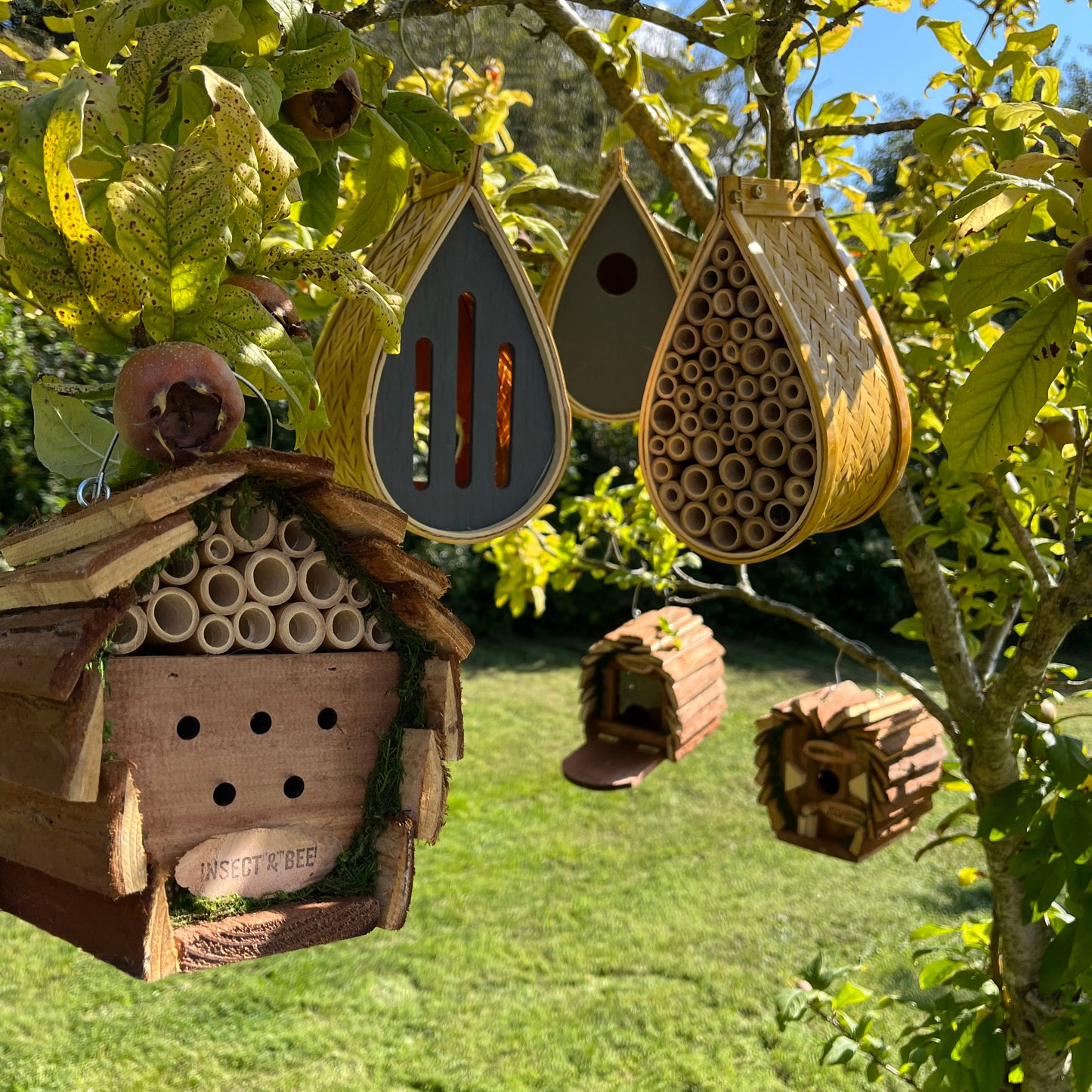 Hanging Wooden Bird, Butterfly & Insect Hotels & Squirrel Feeder Wildlife Care Set