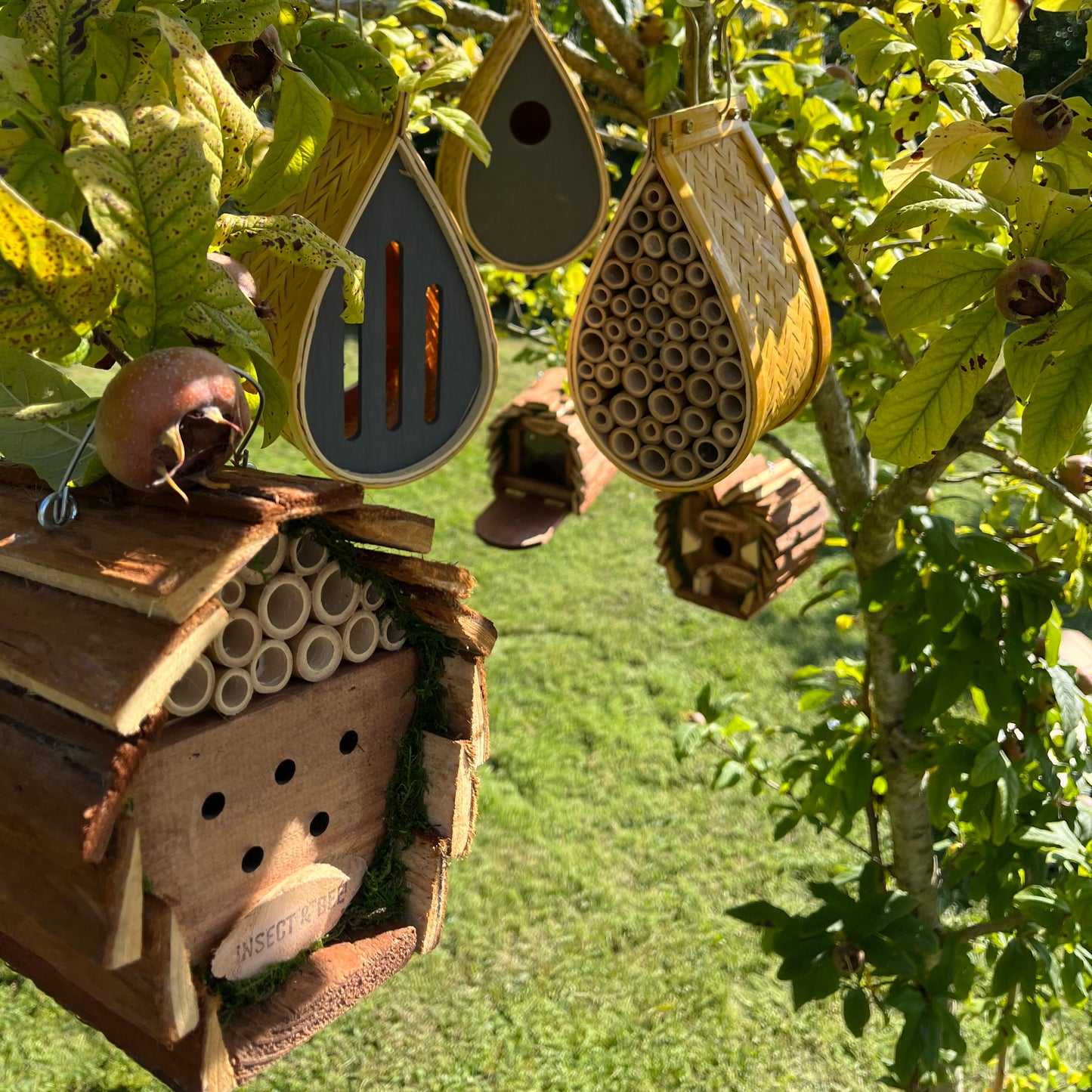 Hanging Wooden Bird, Butterfly & Insect Hotels & Squirrel Feeder Wildlife Care Set