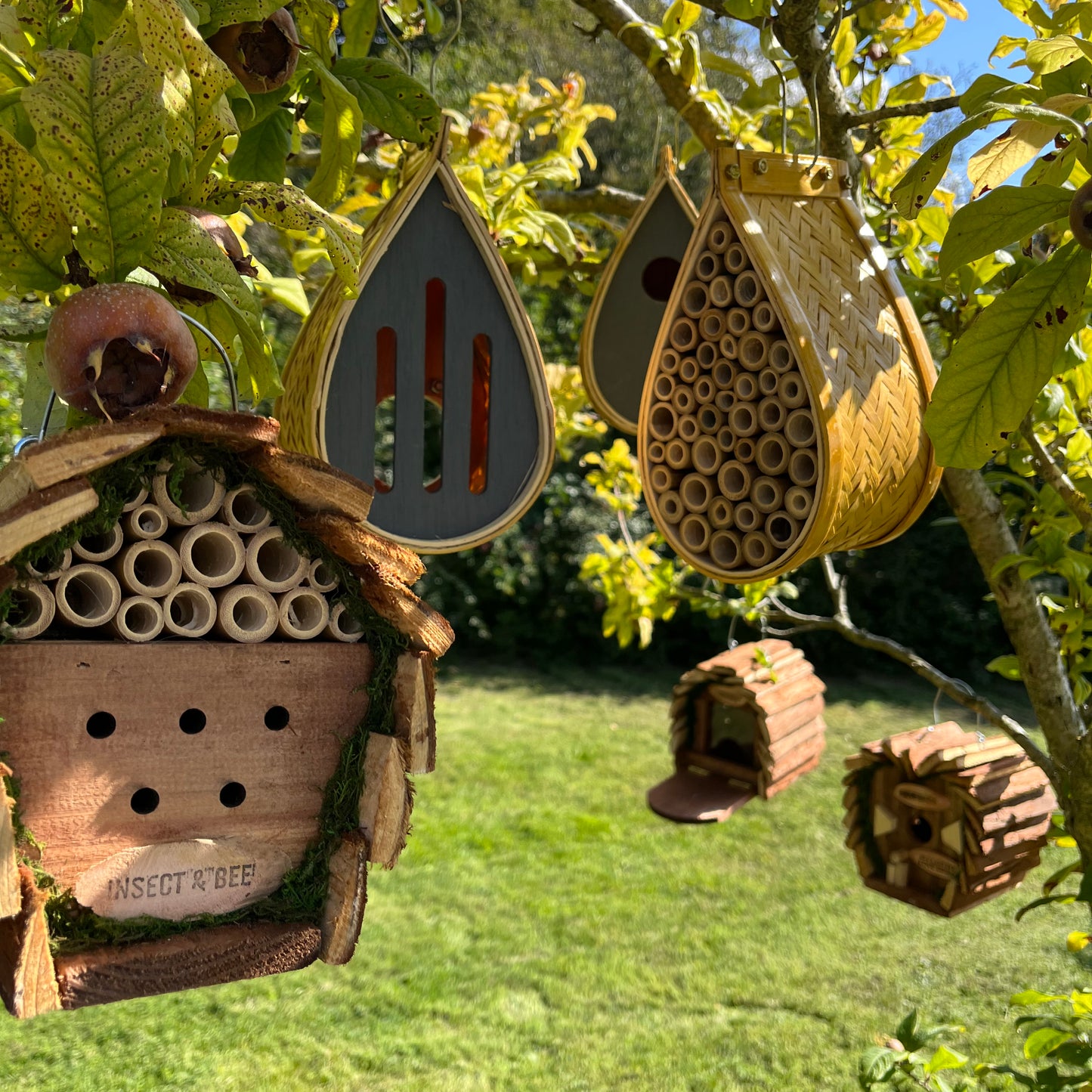 Hanging Wooden Bird, Butterfly & Insect Hotels & Squirrel Feeder Wildlife Care Set
