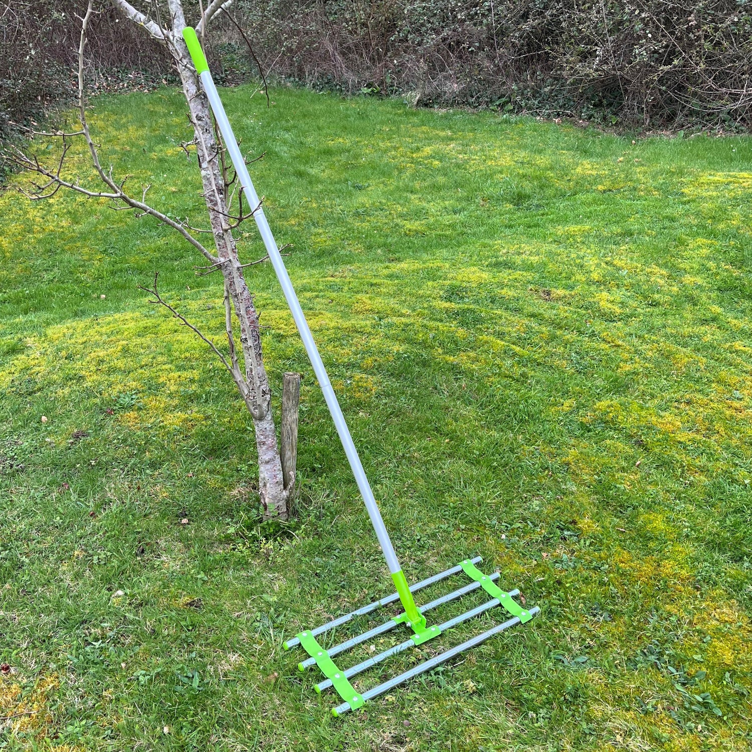 A green and silver garden lawn levelling rake with a long handle, standing on grass.