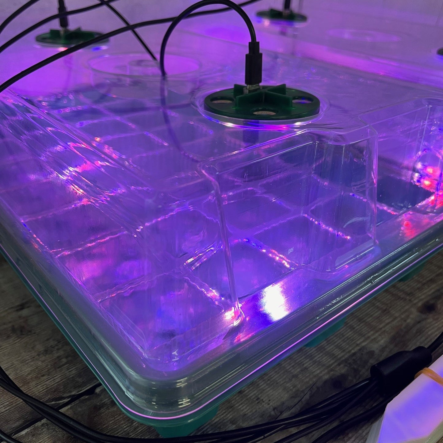 Plant Propagator 40 Cell Seed Tray Set with Full Spectrum USB Grow Lights (Pack of 2)