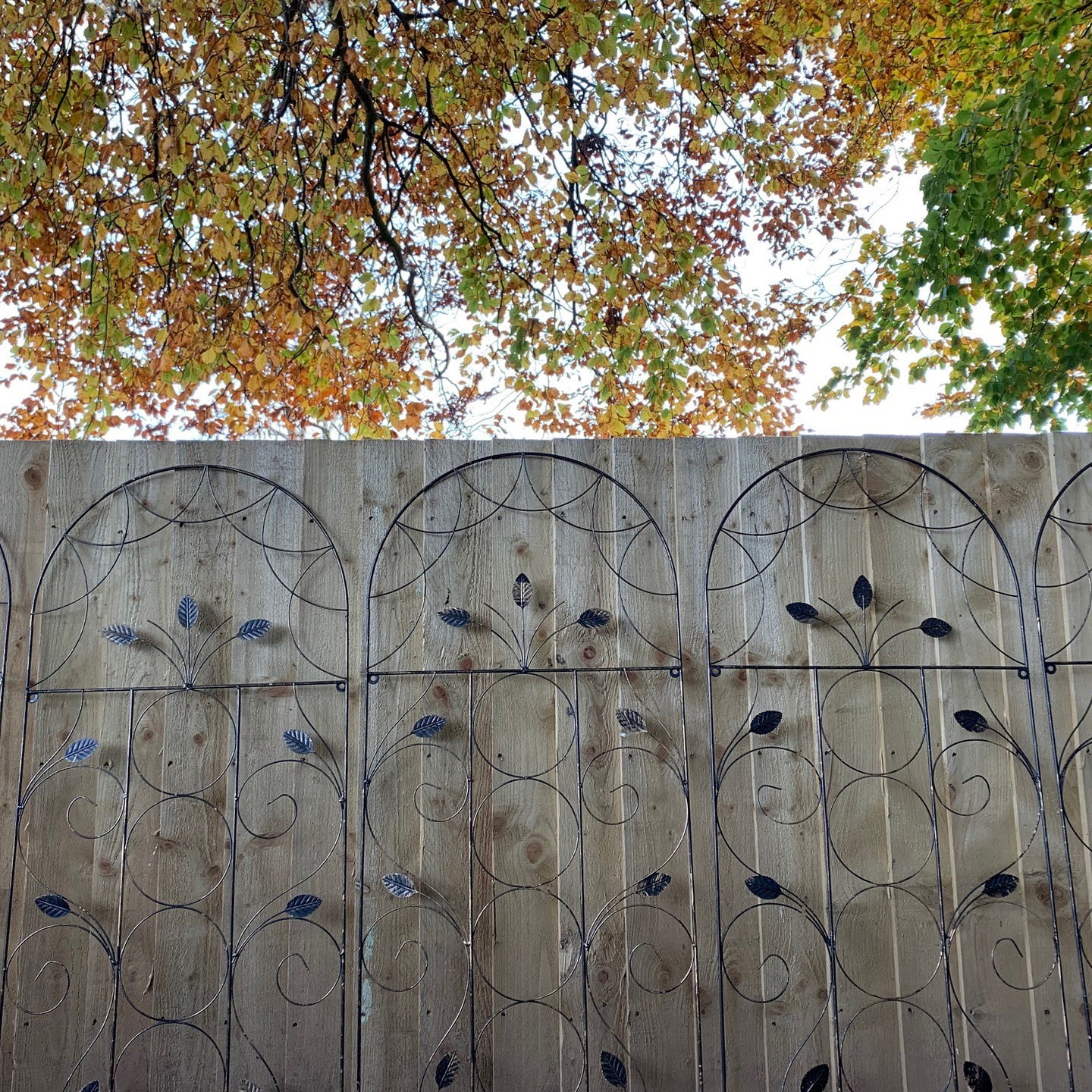 Set of 3 Leaf Design Metal Trellis (120cm x 50cm)
