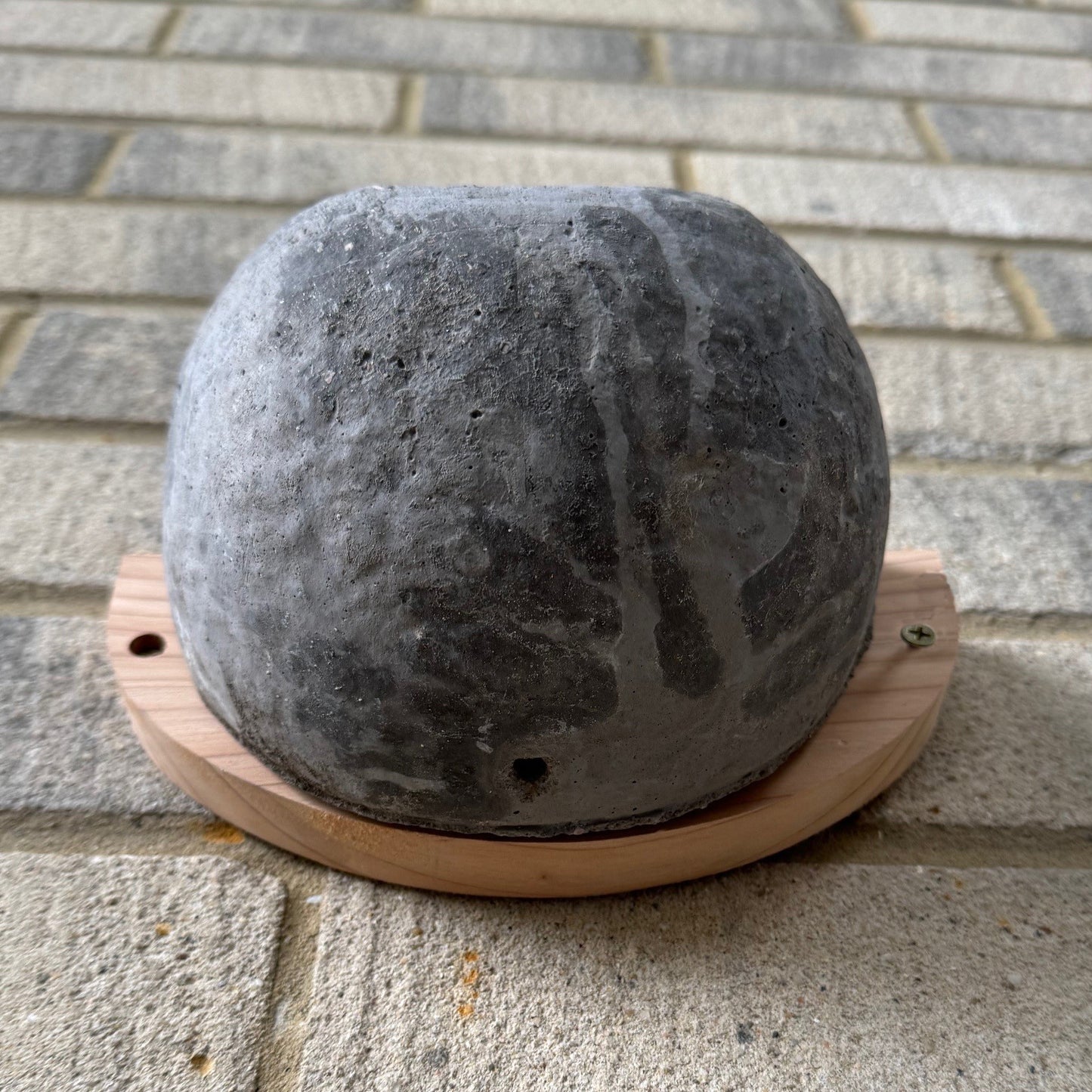 Concrete House Martin Bird Nest Box (Set of 2)
