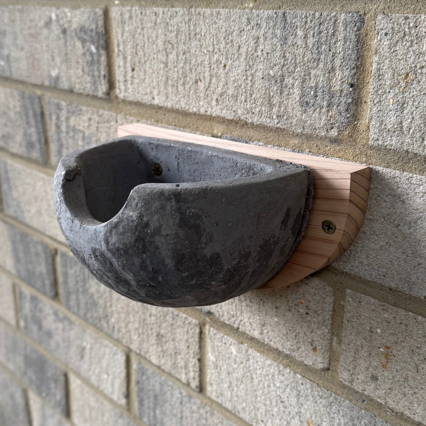 Concrete House Martin Bird Nest Box (Set of 2)