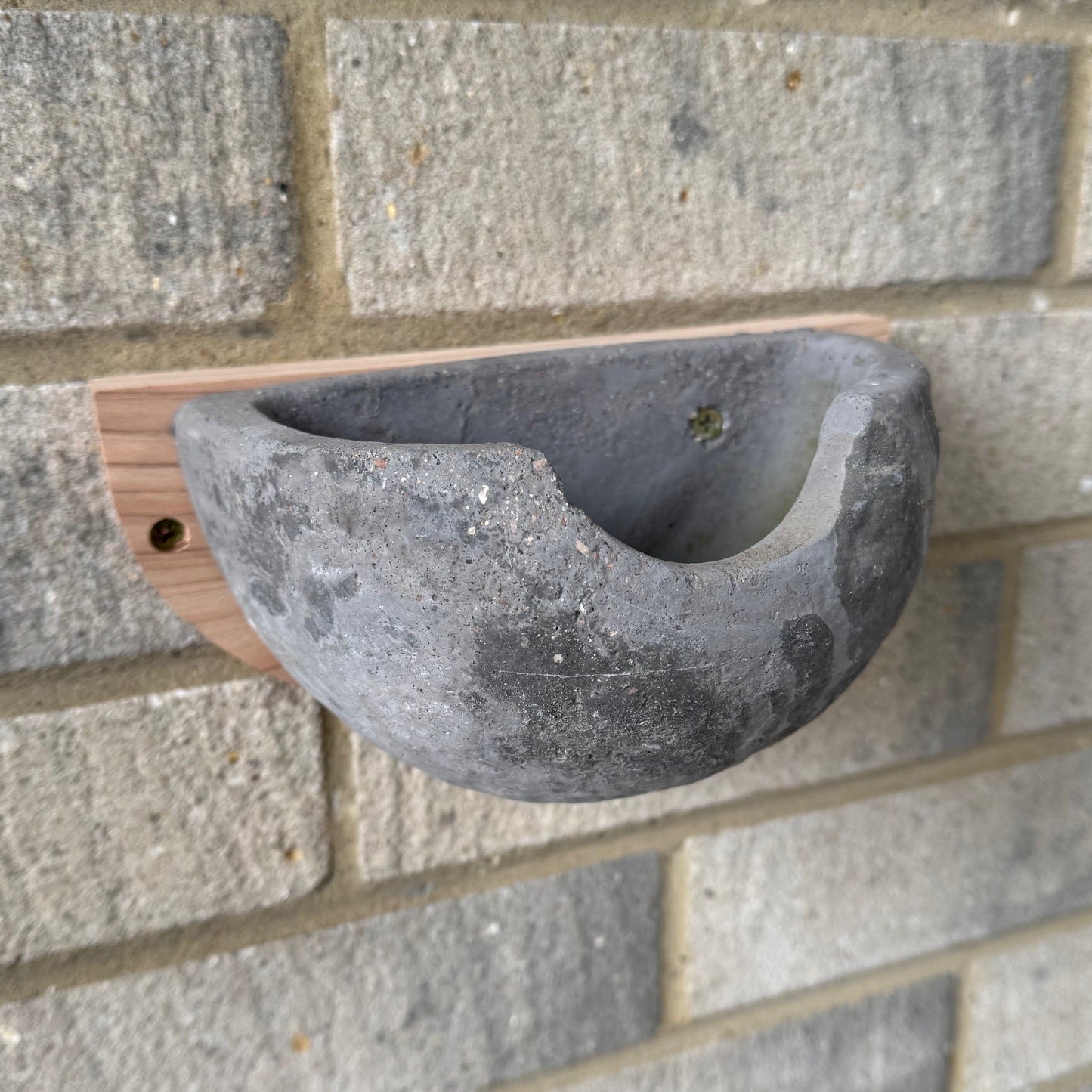 Concrete House Martin Bird Nest Box (Set of 2)