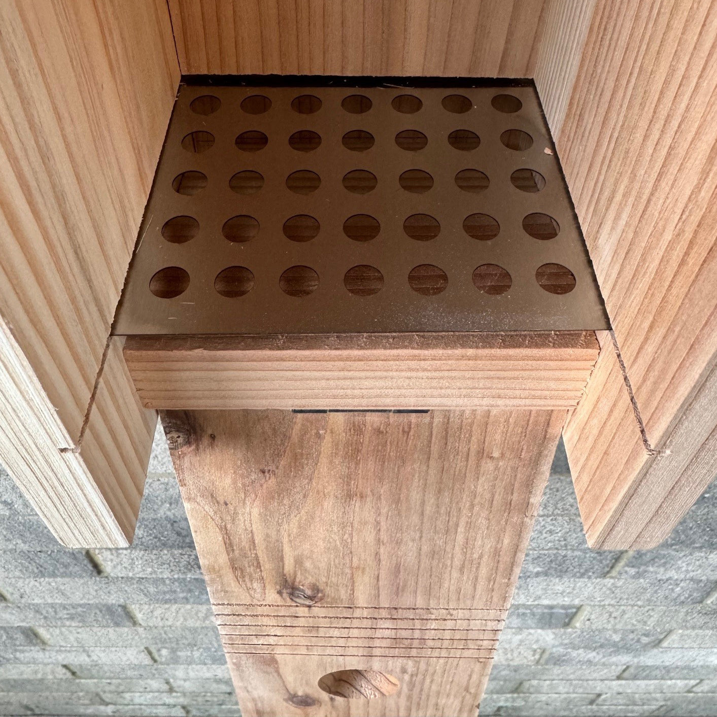 Premium Wooden Bird Nest Box House with Predator Proof Entrance