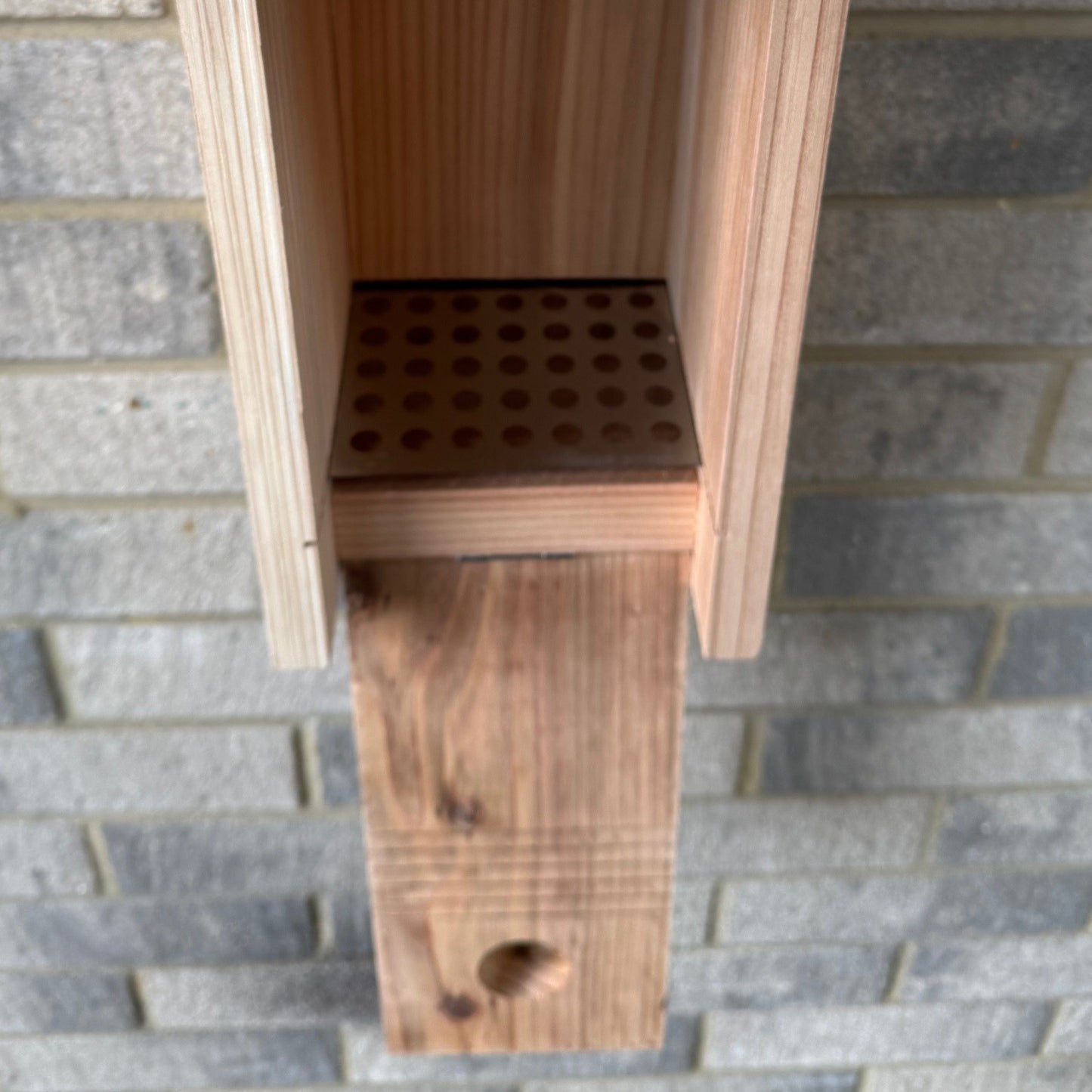 Premium Wooden Bird Nest Box House with Predator Proof Entrance