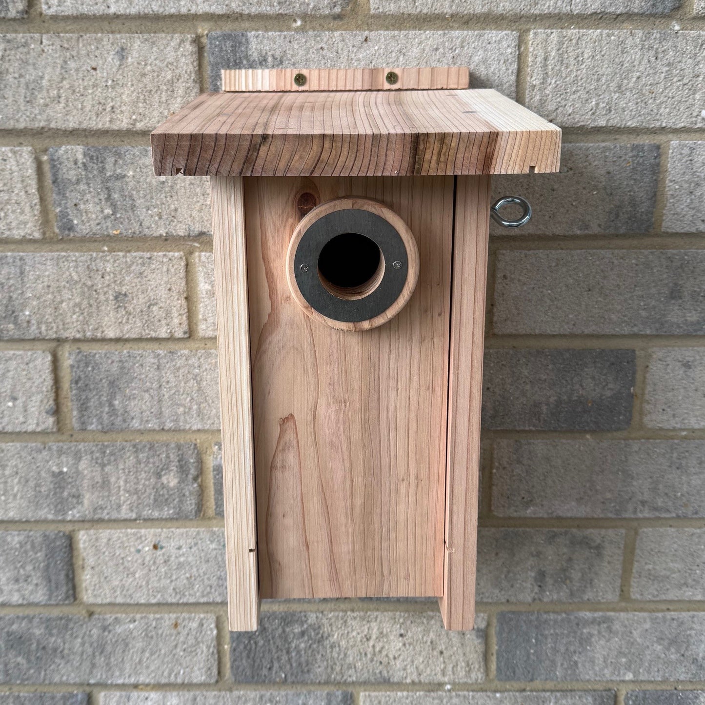 Premium Wooden Bird Nest Box House with Predator Proof Entrance