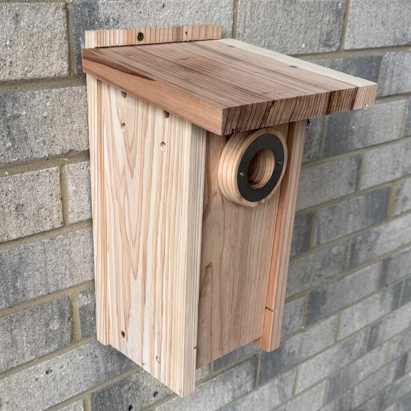 Premium Wooden Bird Nest Box House with Predator Proof Entrance