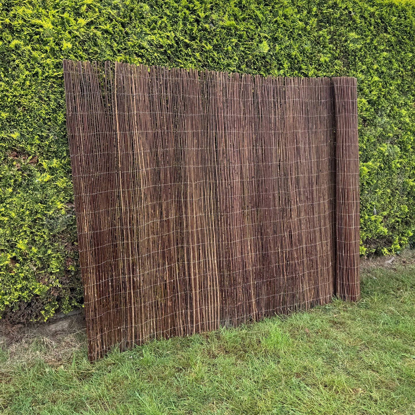 Brown woven fence against a green hedge