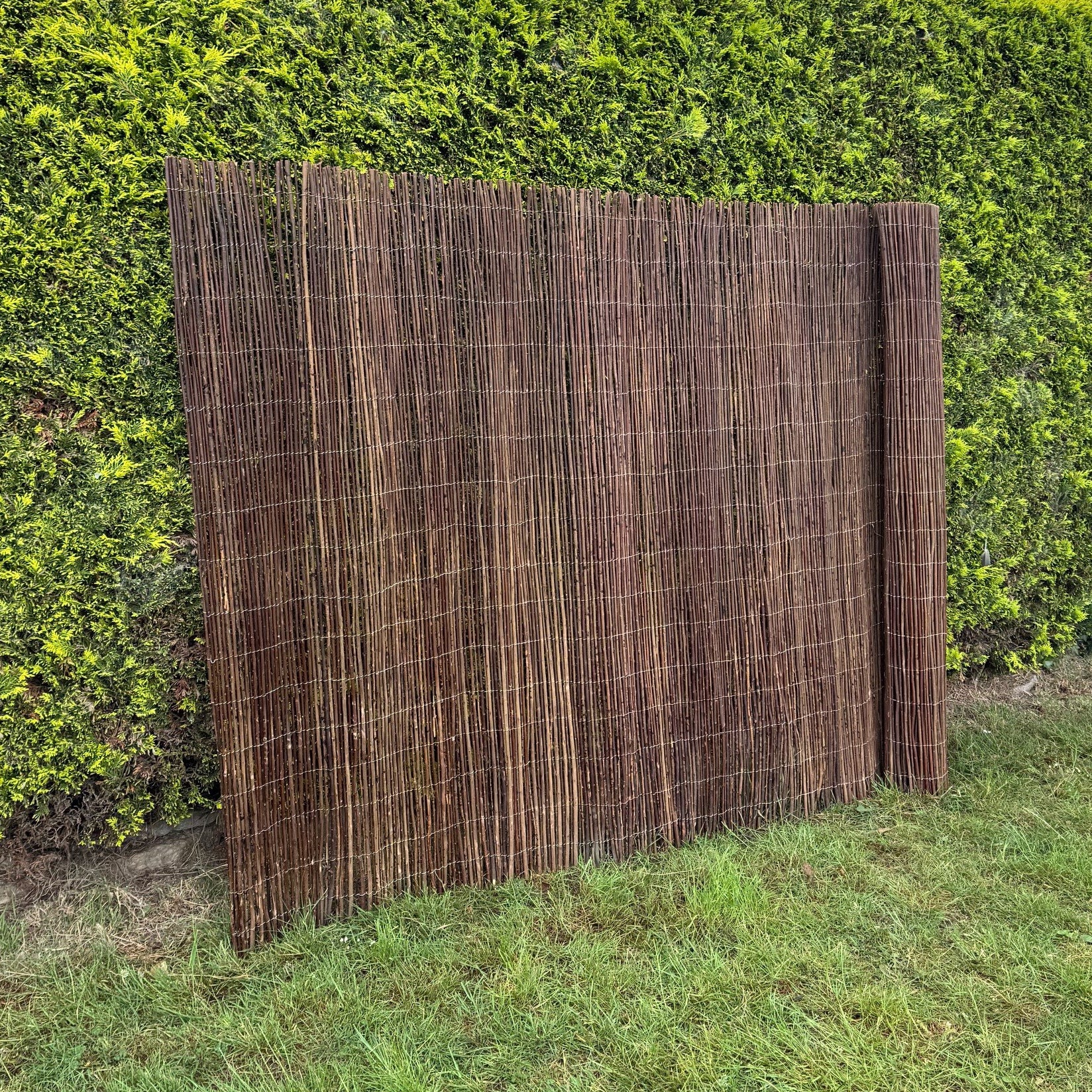Brown woven fence against a green hedge