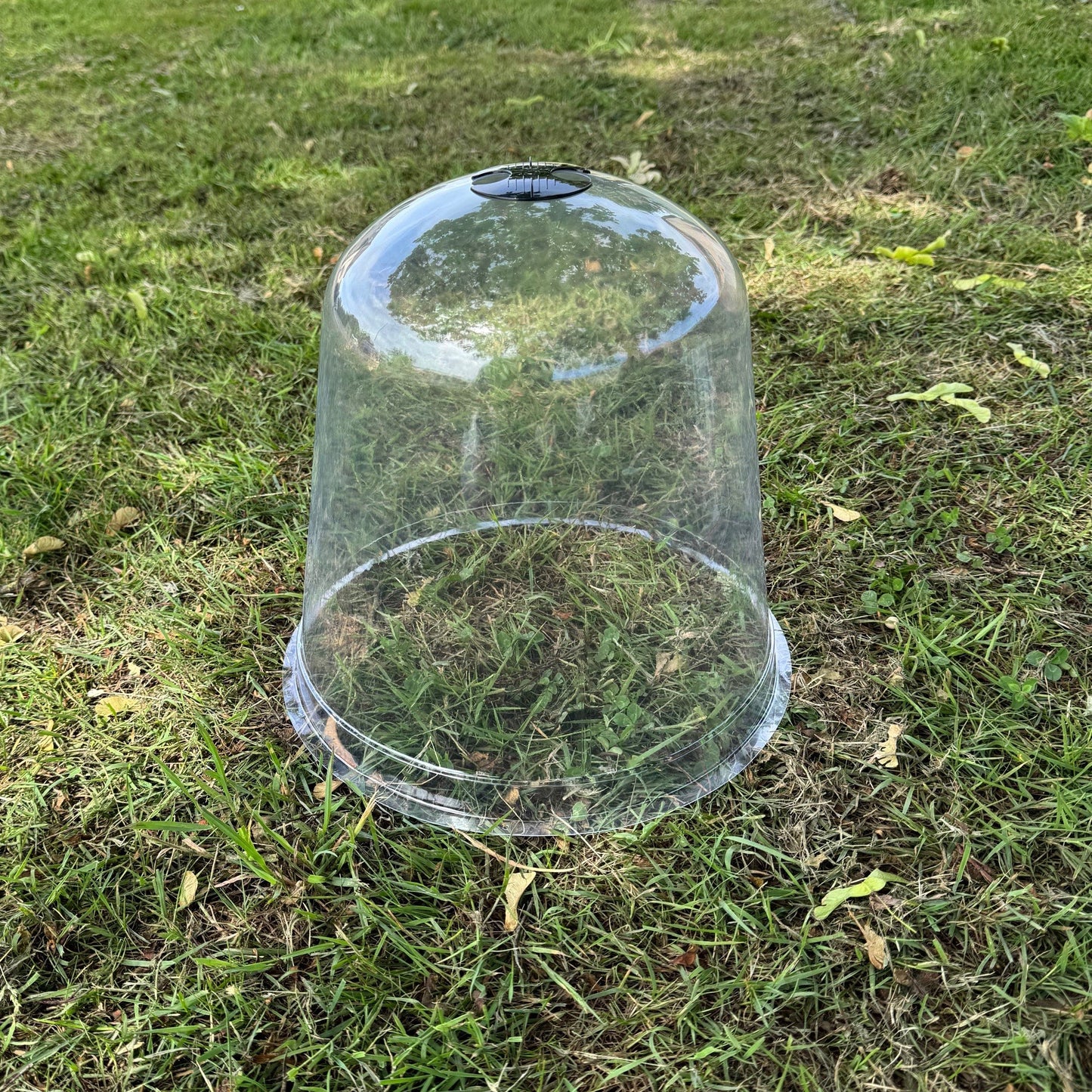 Large Plastic Plant Protection Bell Cloche Covers with Ground Pegs - Pack of 3