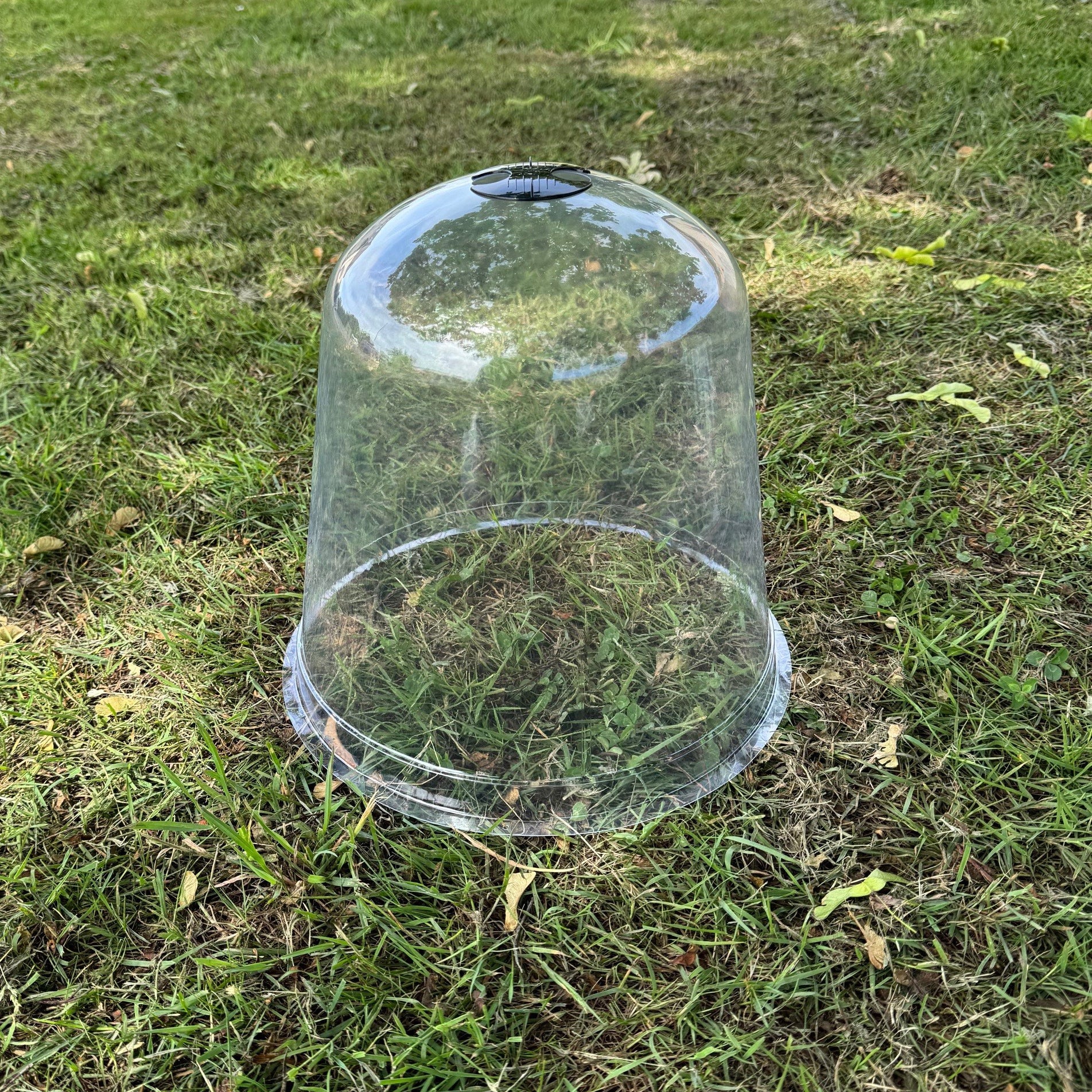 plastic cloches for garden plants Large Plastic Plant Protection Bell Cloche Covers with Ground Pegs