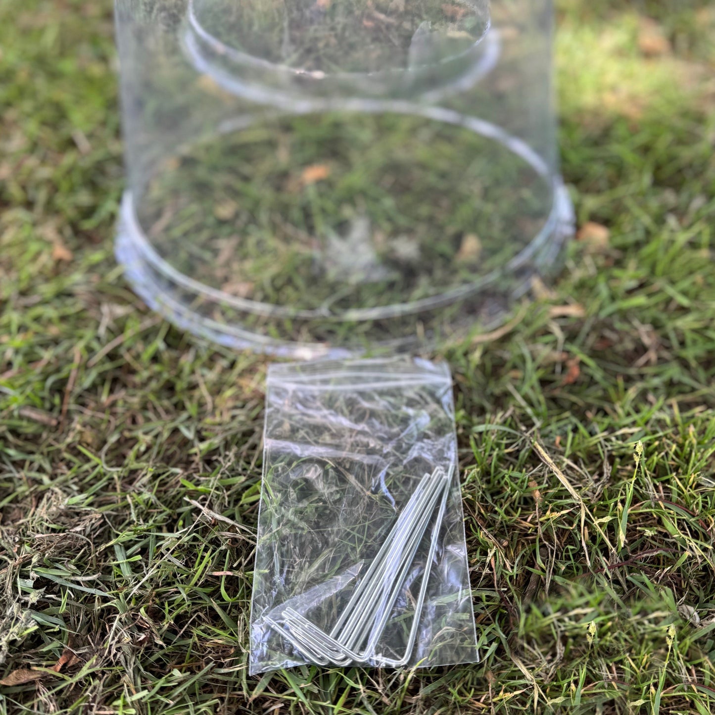 Large Plastic Plant Protection Bell Cloche Covers with Ground Pegs - Pack of 3