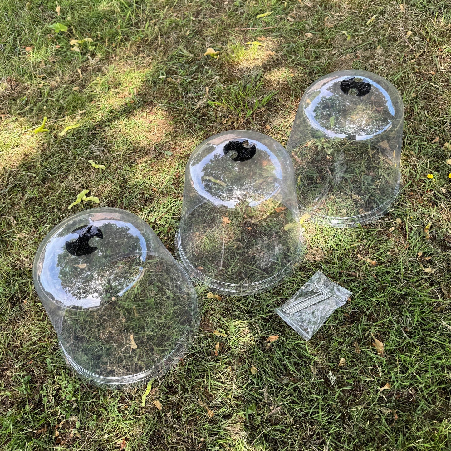 Large Plastic Plant Protection Bell Cloche Covers with Ground Pegs - Pack of 3