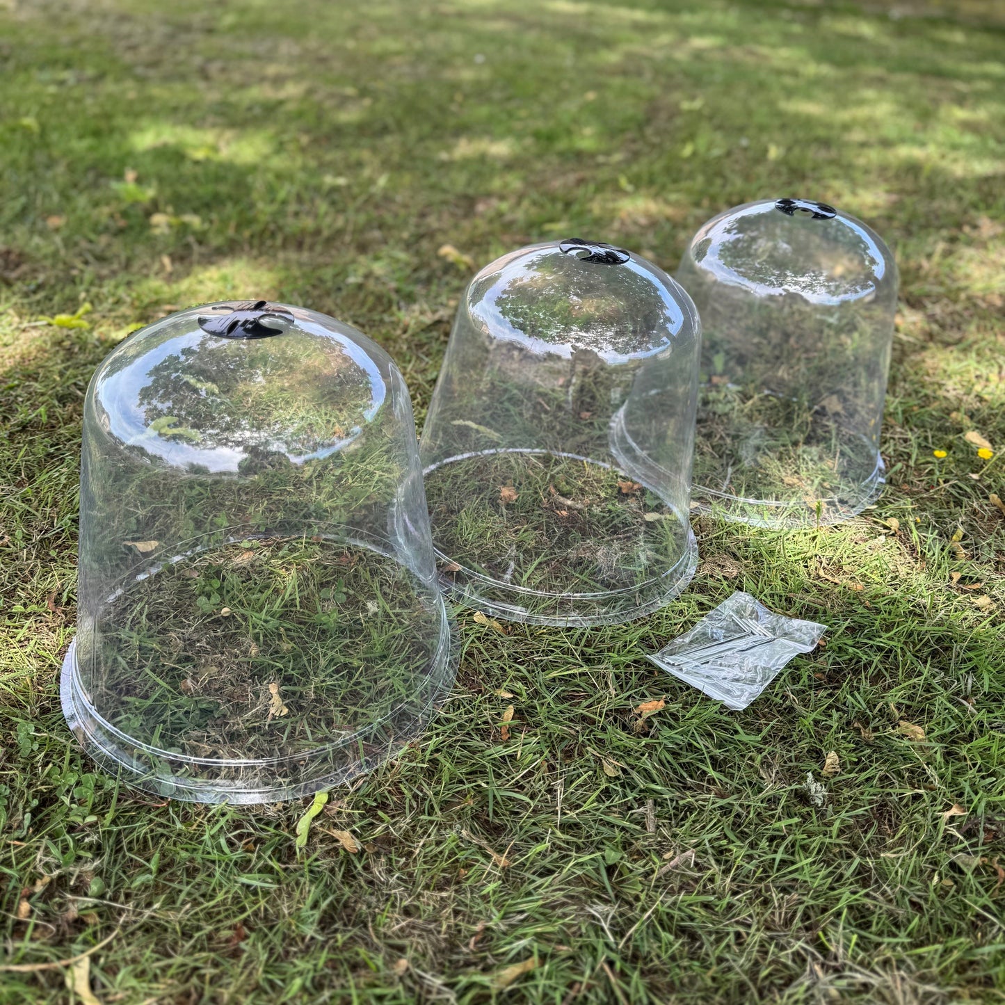Clear plastic cups with small objects inside on a grassy surface
