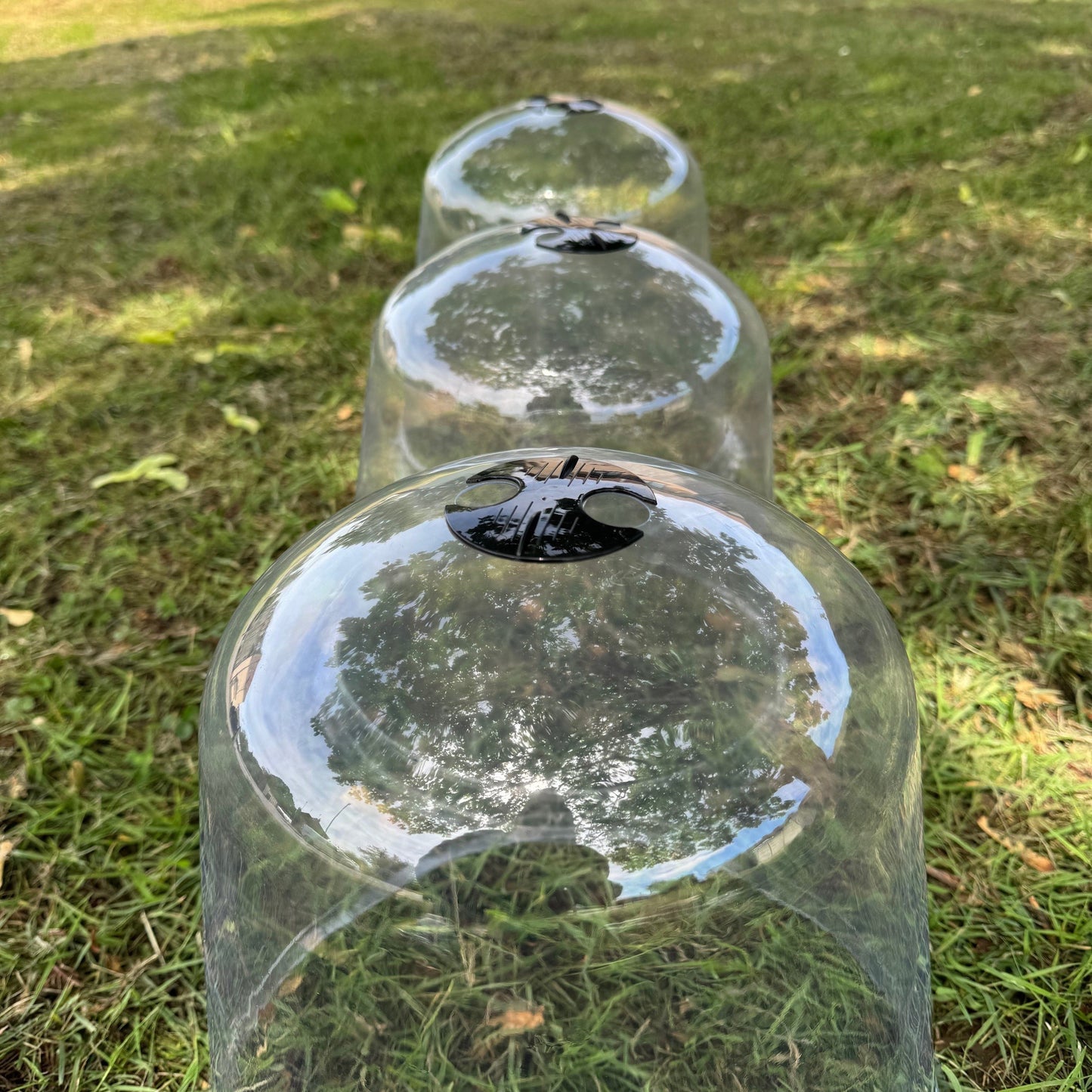 Large Plastic Plant Protection Bell Cloche Covers with Ground Pegs - Pack of 3