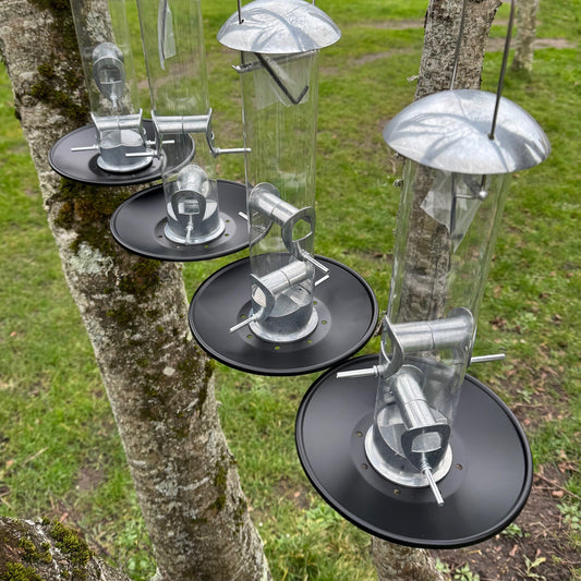Four aluminium bird seed feeders with seed catcher trays hung from a tree, with a clear sky and grassy background.