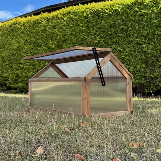 Small wooden greenhouse with transparent roof and sides on grass with hedge in the background