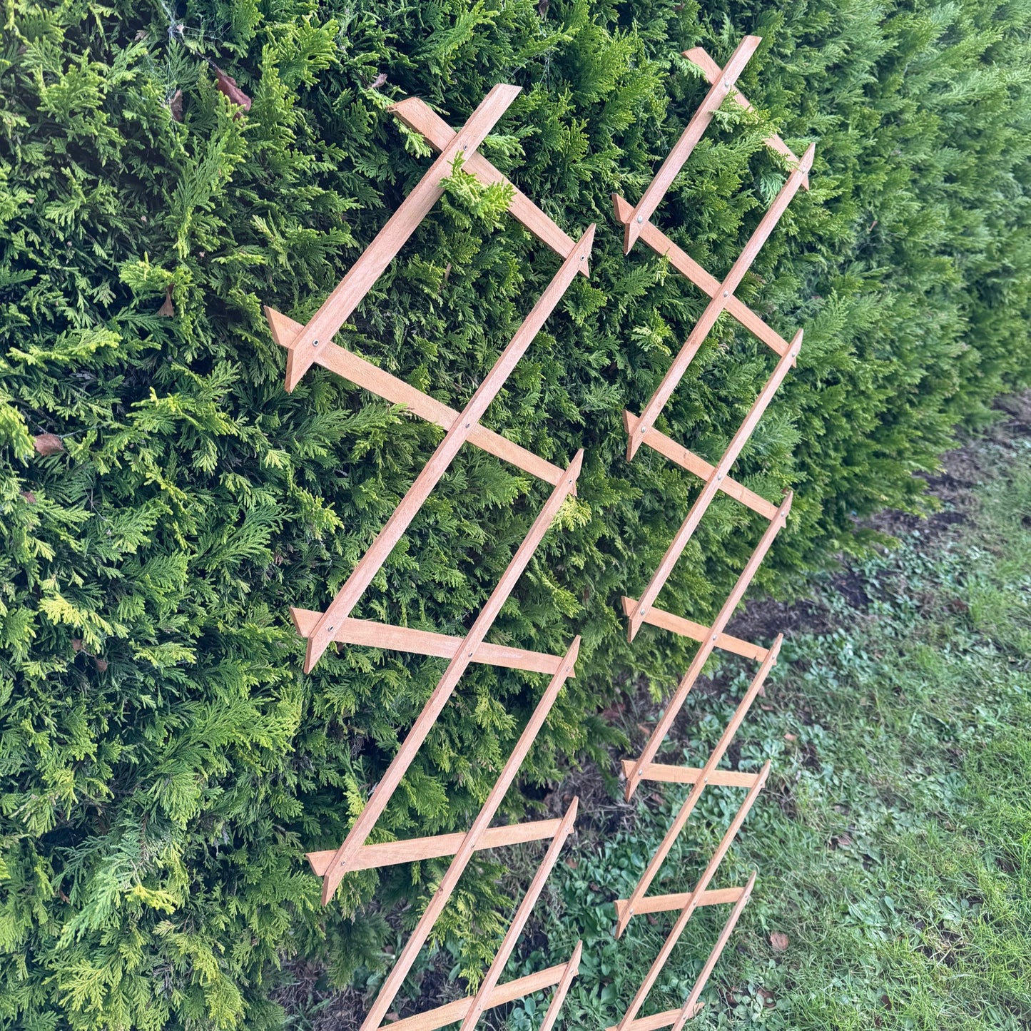 Expanding Wooden Garden Trellis (180cm x 30cm) - Pack of 2
