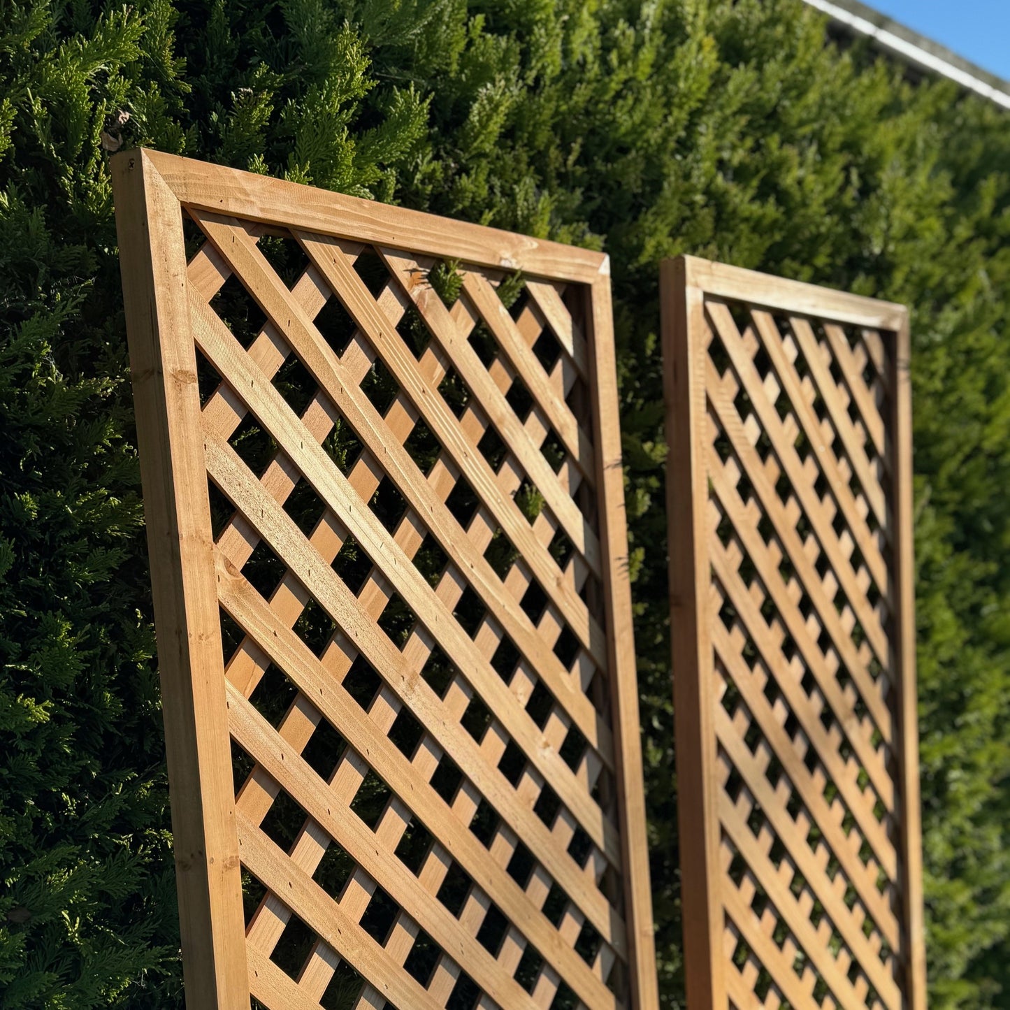 Wooden Framed Trellis Fence Panels (180cm x 60cm) - Pack of 2