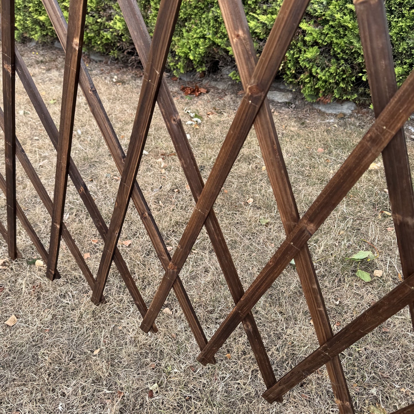 Freestanding Expanding Willow Garden Trellis Screen (196cm x 90cm)