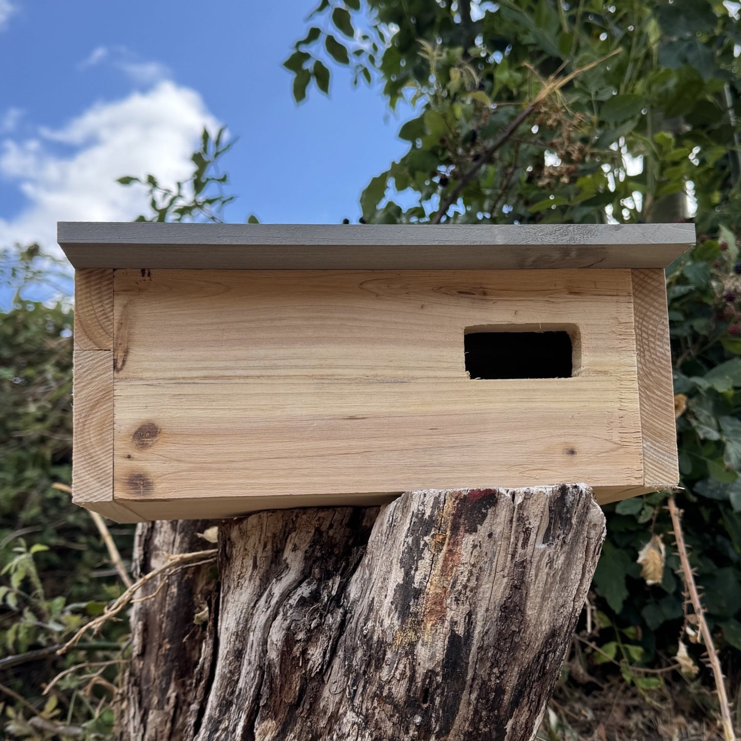 Swift Wooden Nesting Box