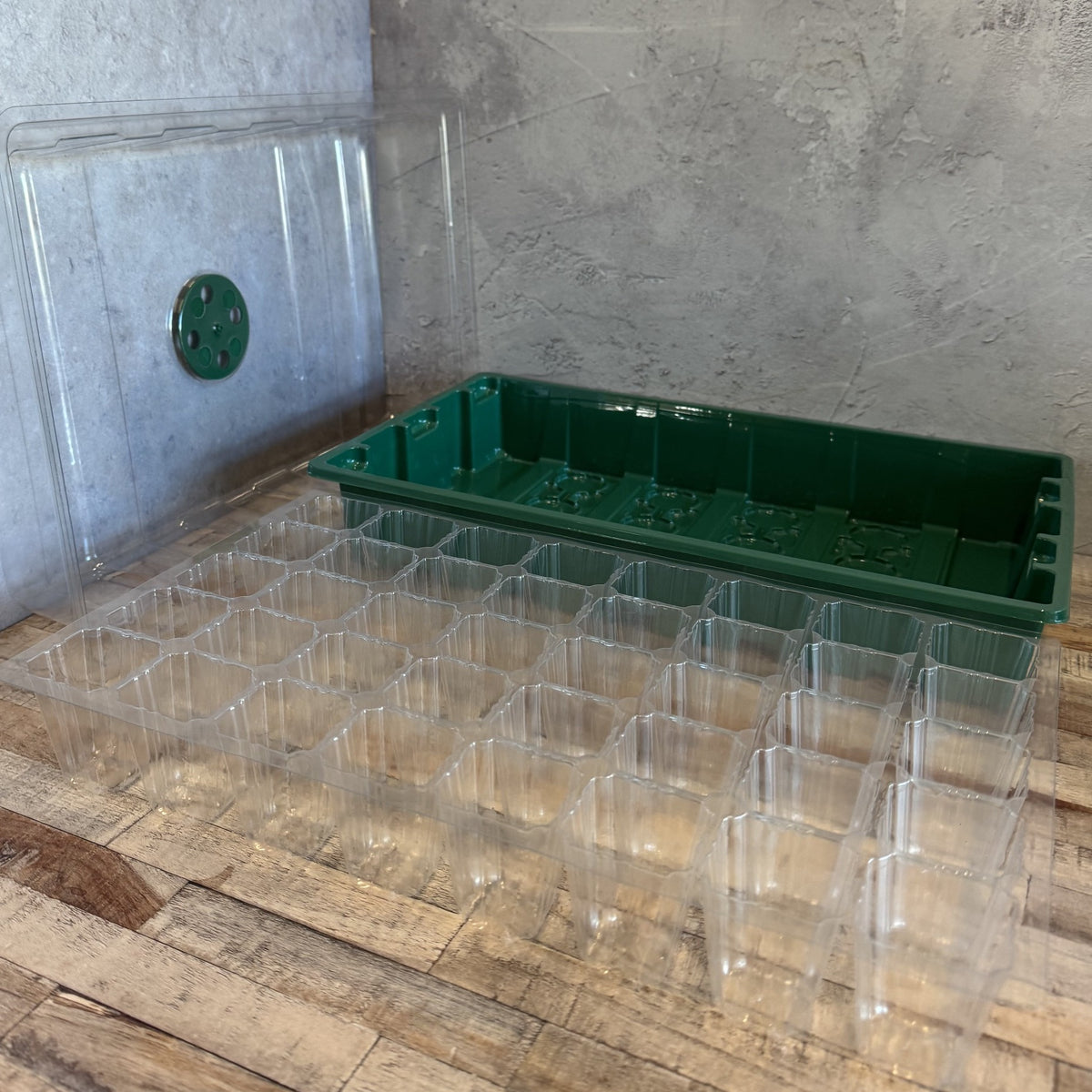 Plant Propagator 40 Cell Seed Tray Set with Plant Labels & Potting Tools - Pack of 5