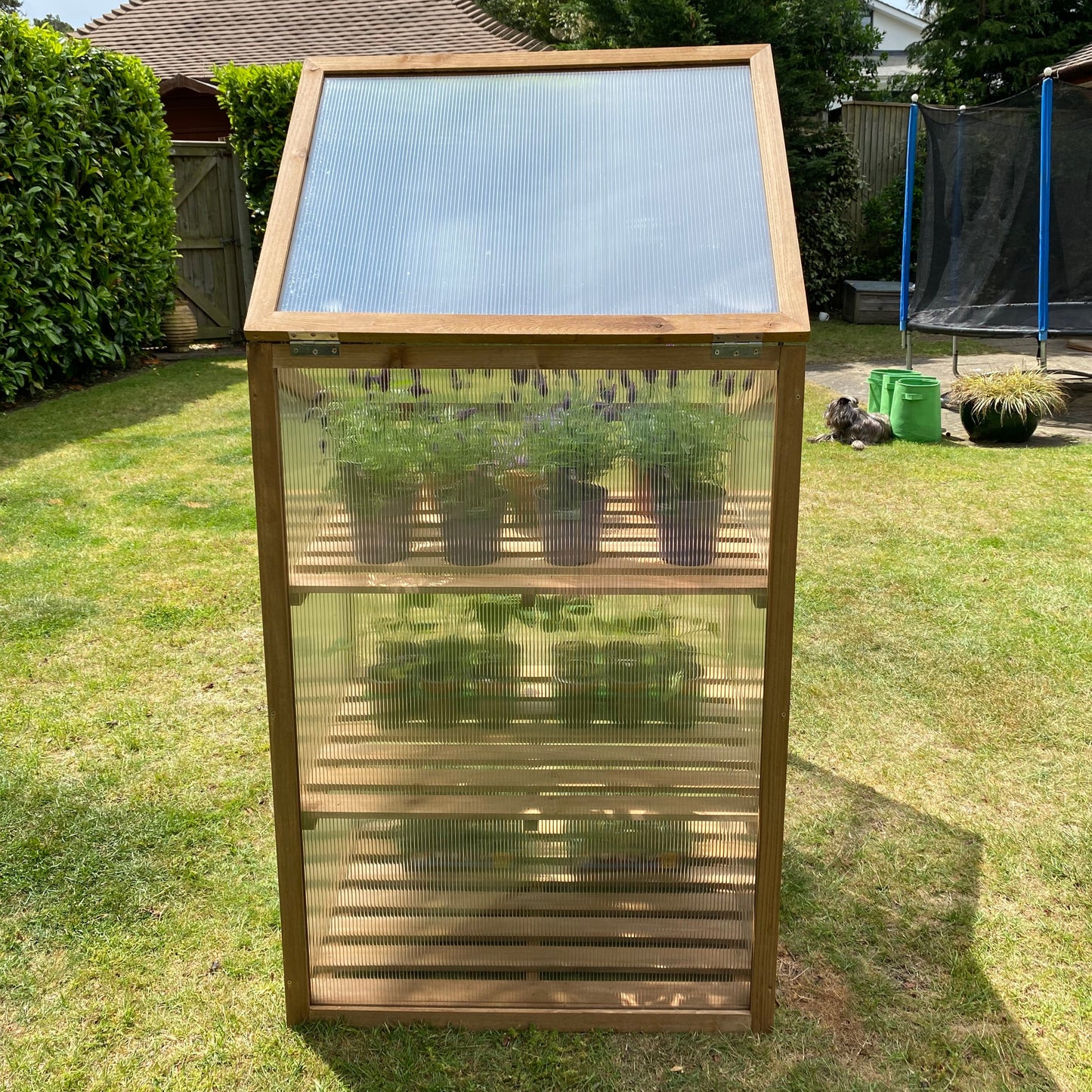 Back Panel for Wooden Mini Growhouse (Wooden Frame and Polycarbonate) GFJ147