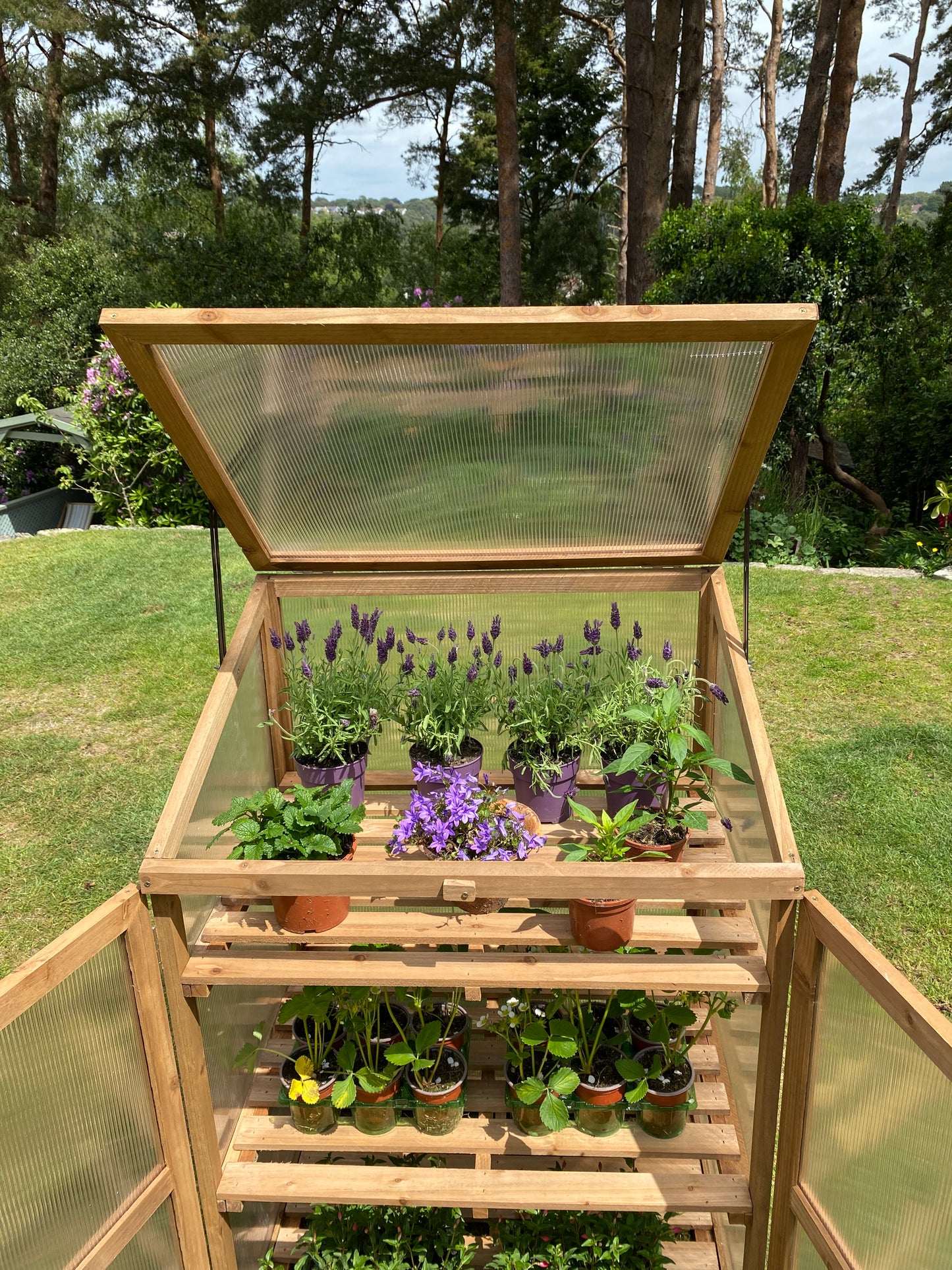Lid Panel for Wooden Mini Growhouse GFJ147
