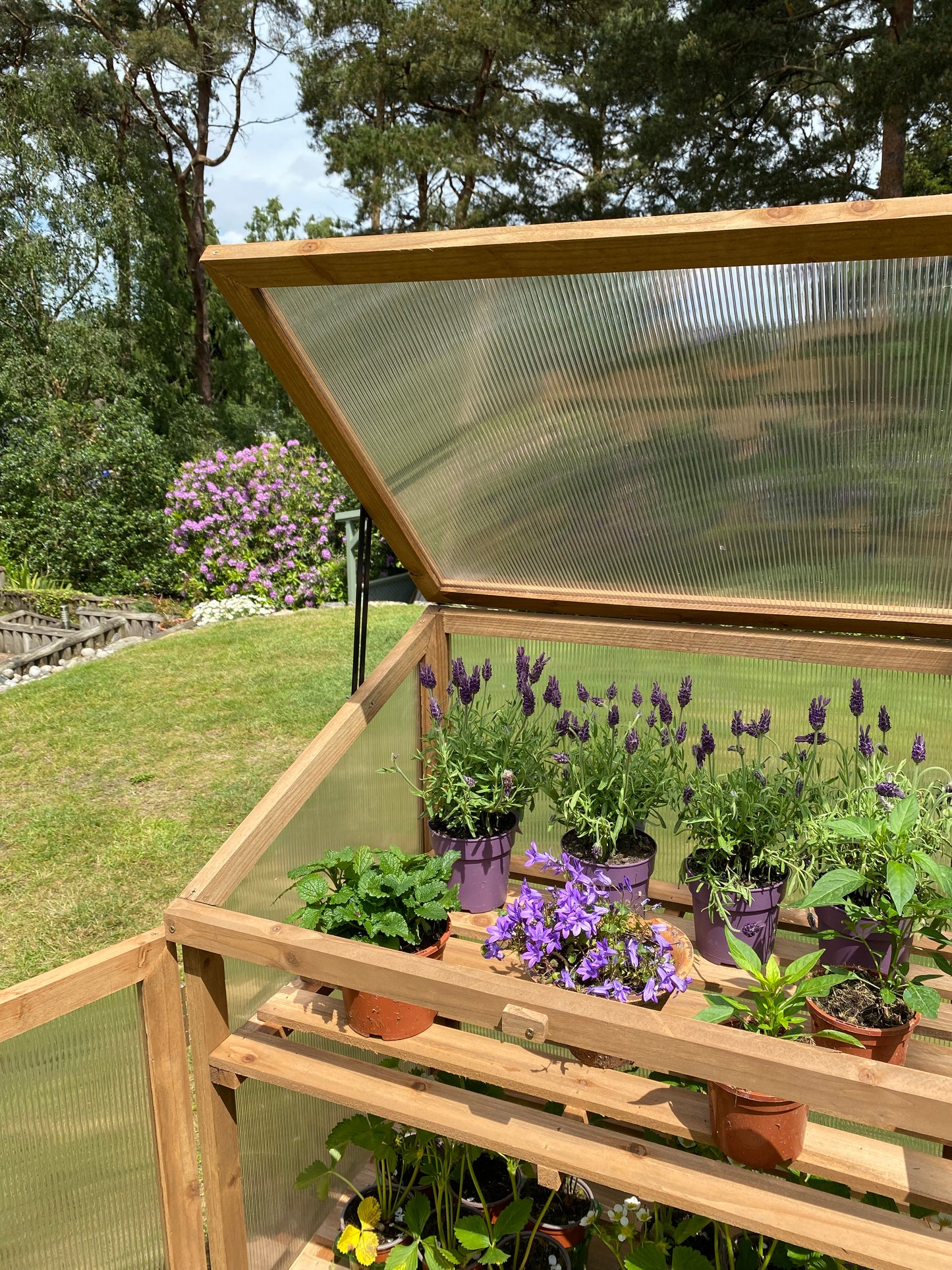 Lid Panel for Wooden Mini Growhouse GFJ147