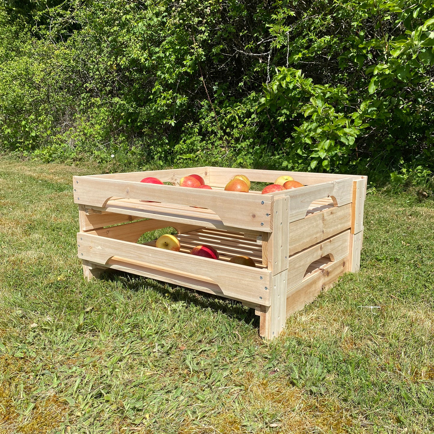 Traditional Wooden Apple Storage Tray Rack - Pack of 2