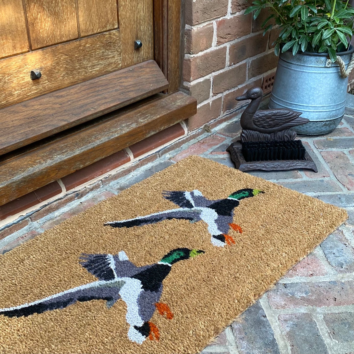 Flying Duck Doormat and Boot Brush Set