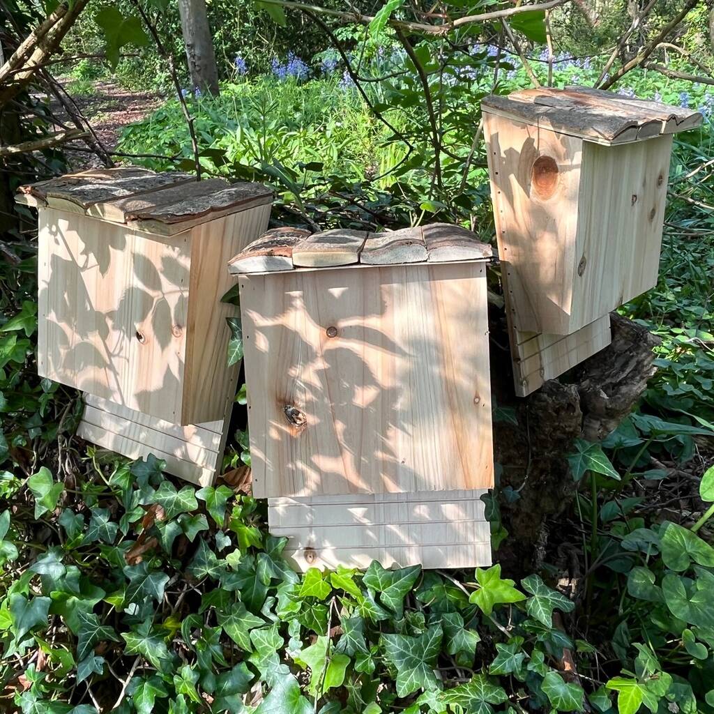 Set of 3 Large Wooden Bat Nesting Roosting Boxes