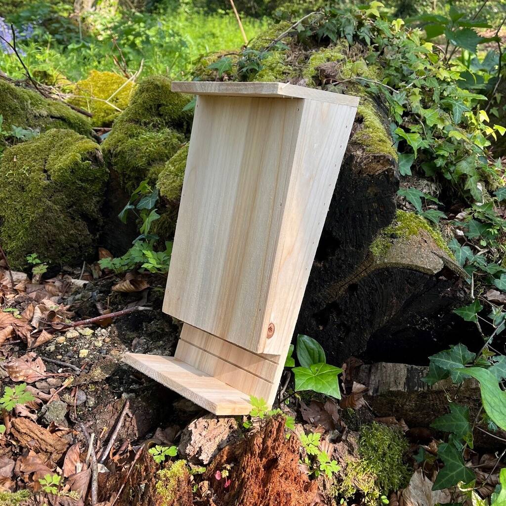 Wooden Bat Box with Landing Perch