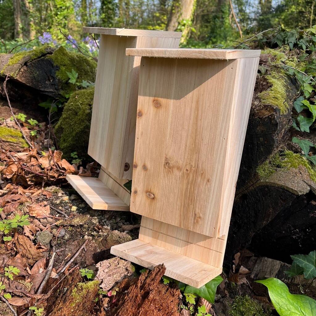 Set of 3 Wooden Bat Boxes with Landing Perch