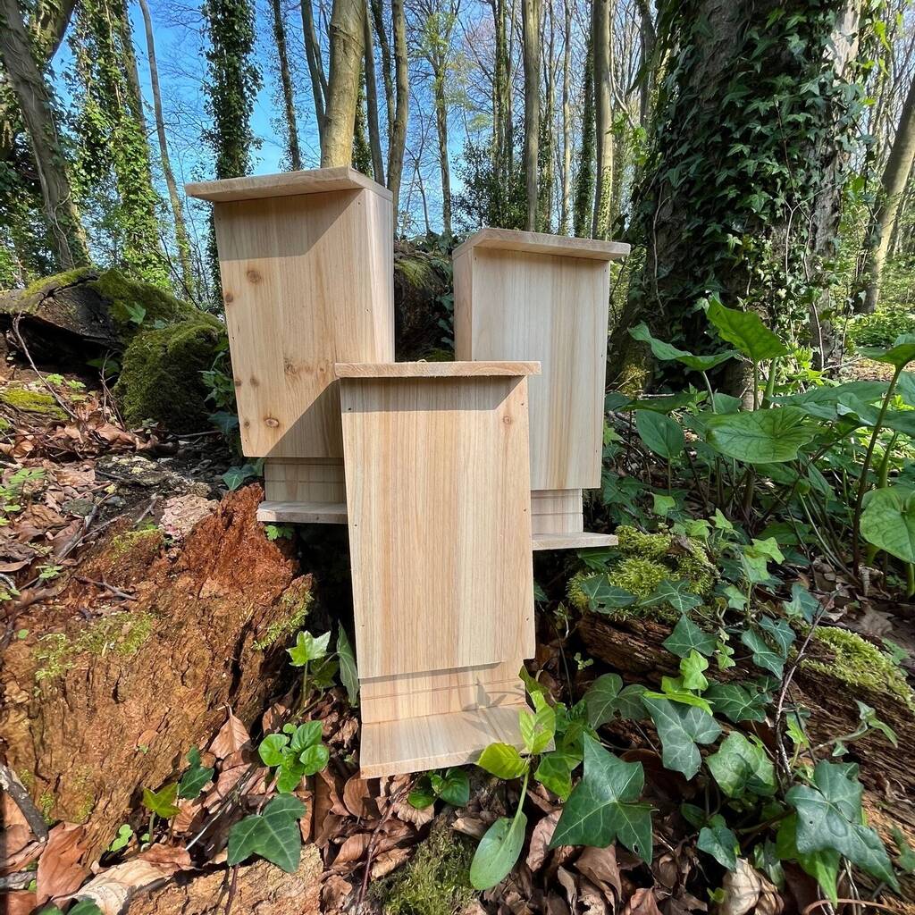 Set of 3 Wooden Bat Boxes with Landing Perch