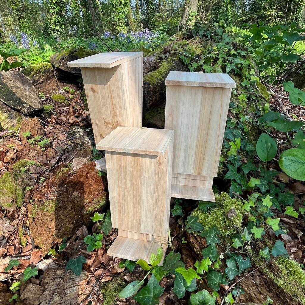 Set of 3 Wooden Bat Boxes with Landing Perch