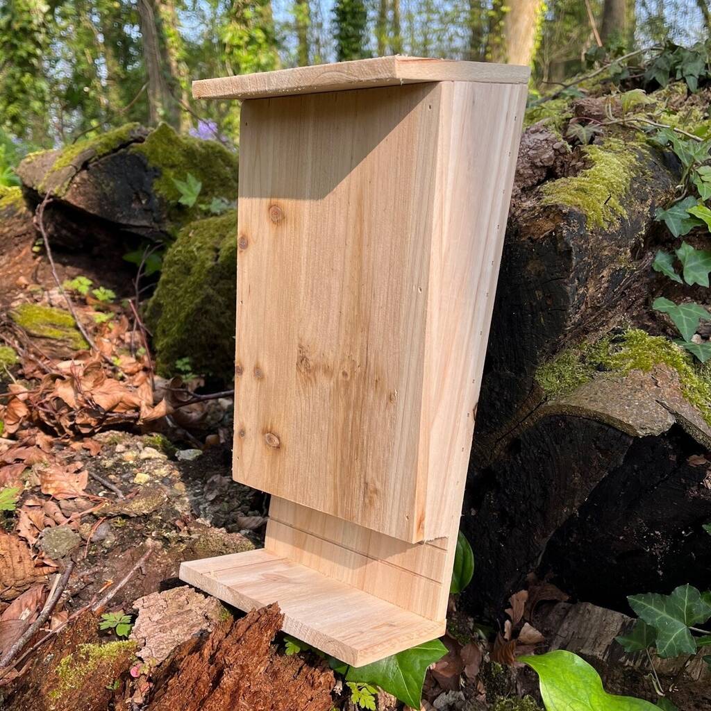 Set of 3 Wooden Bat Boxes with Landing Perch