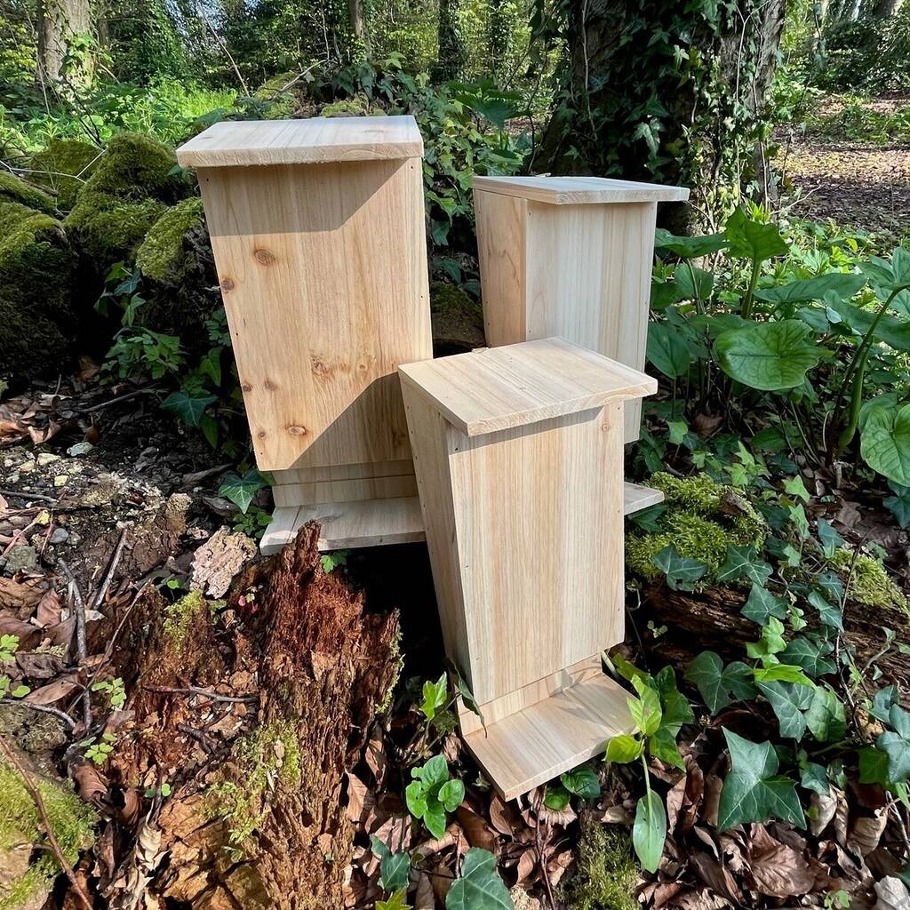 Set of 3 Wooden Bat Boxes with Landing Perch