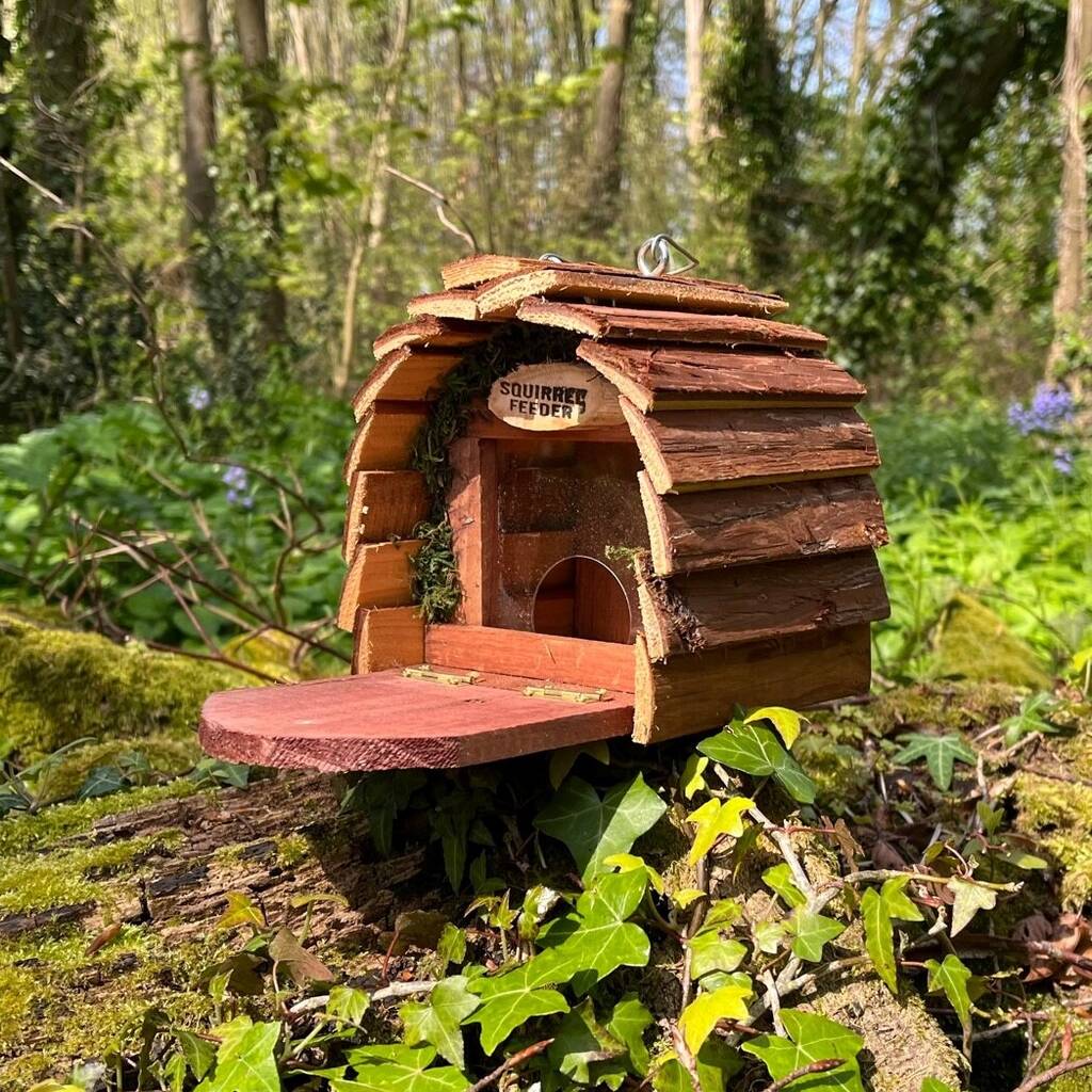 Set of 3 Wooden Wildlife Squirrel Feeders