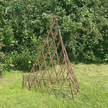 Expanding Willow Garden Obelisk (1.5m)