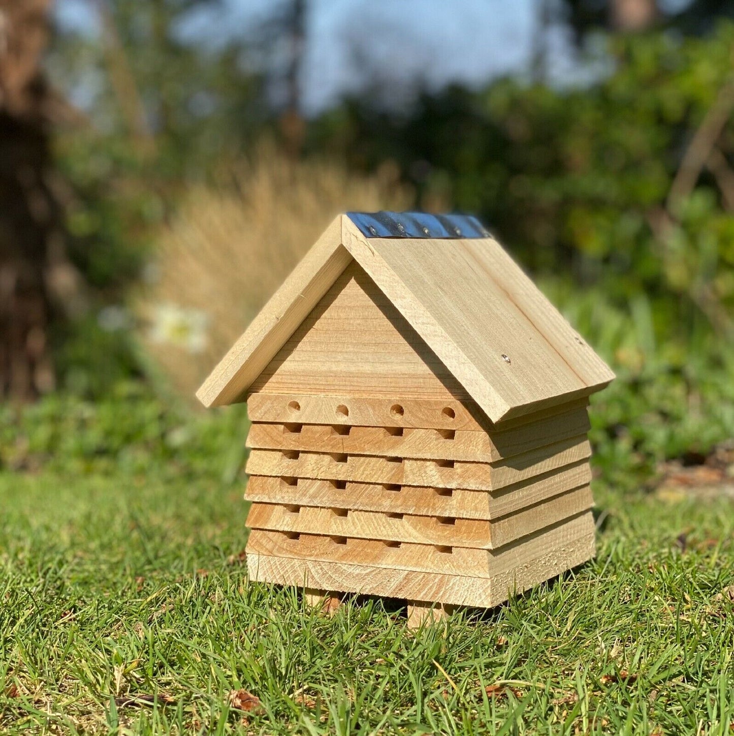 Wooden Solitary Bee Hive Hotel Habitat & Hanging Ladybird Hotel