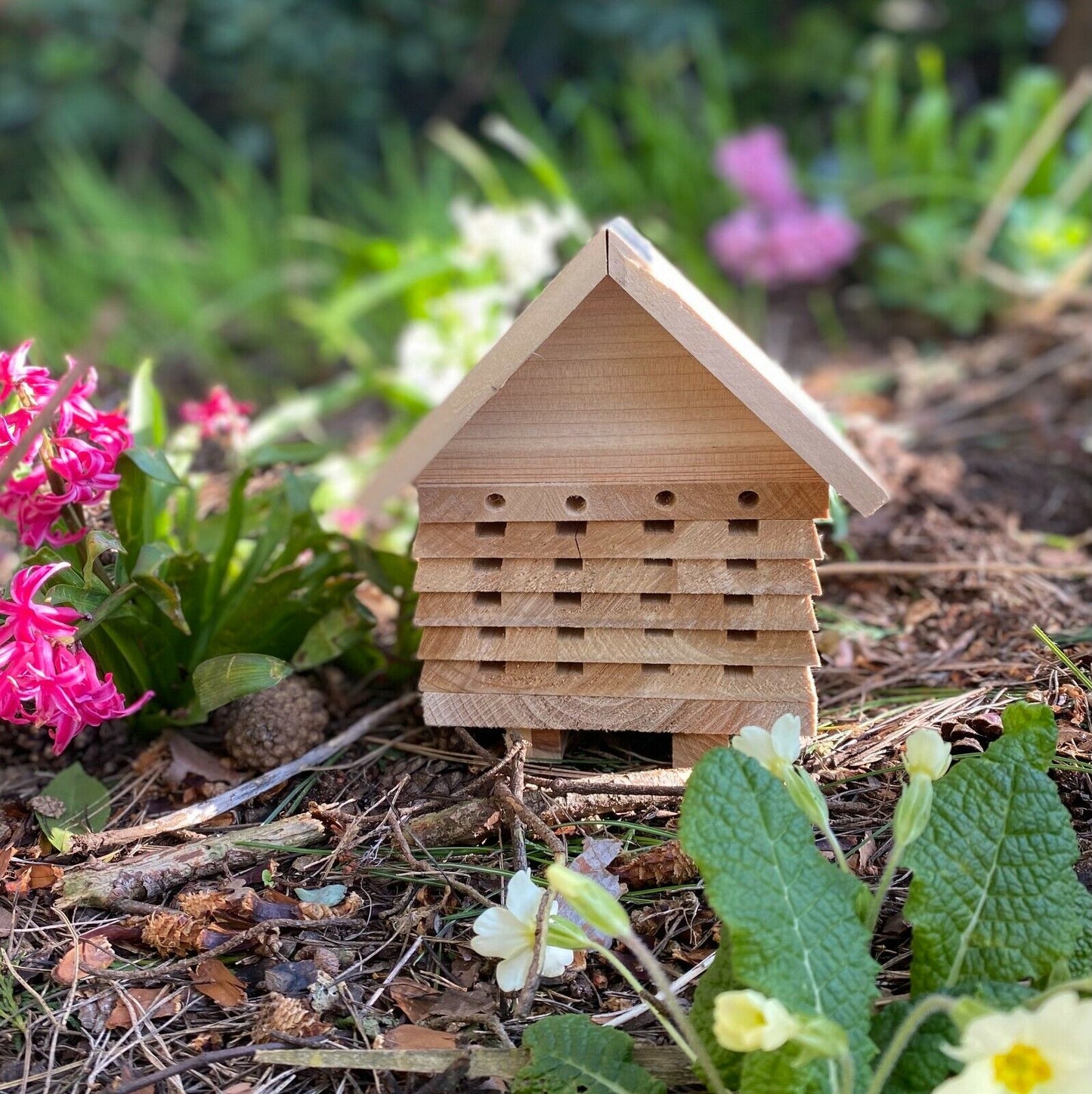 Wooden Solitary Bee Hive Hotel Habitat & Hanging Ladybird Hotel