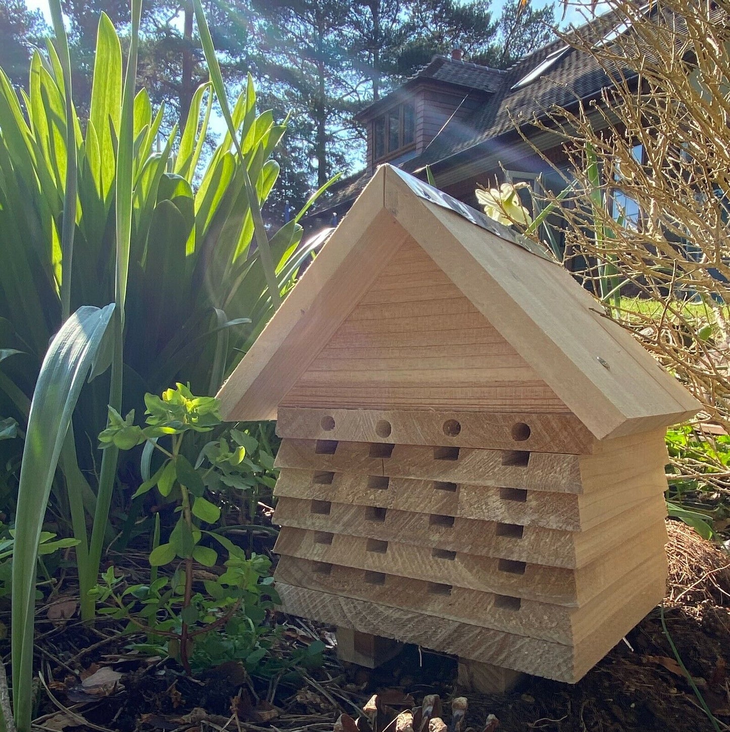 Wooden Solitary Bee Hive Hotel Habitat