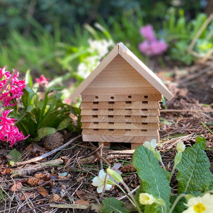 Wooden Solitary Bee Hive Hotel Habitat & Hanging Butterfly House