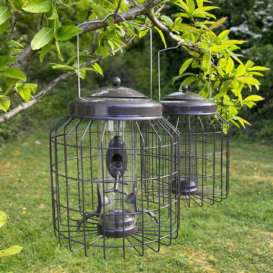 Two squirrel proof hanging bird seed and nut feeders in gun metal grey color, attached to a tree branch.